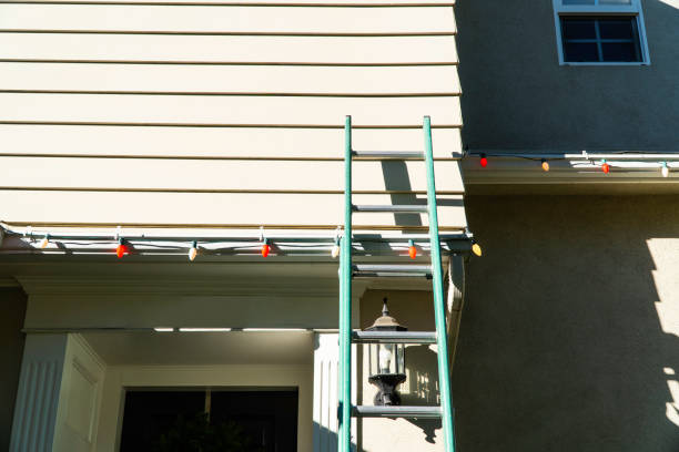 Best Vinyl Siding Installation  in Seagoville, TX